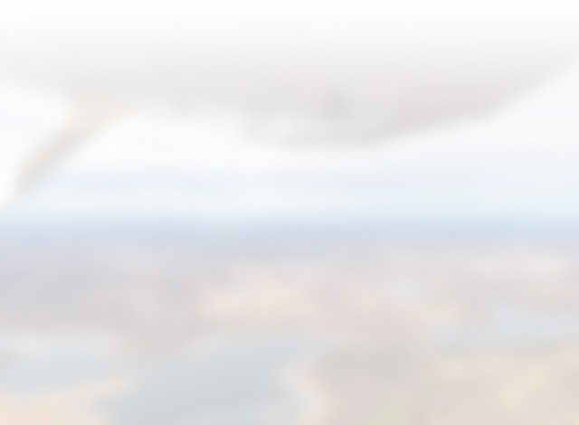 Blurred image of airplane wing